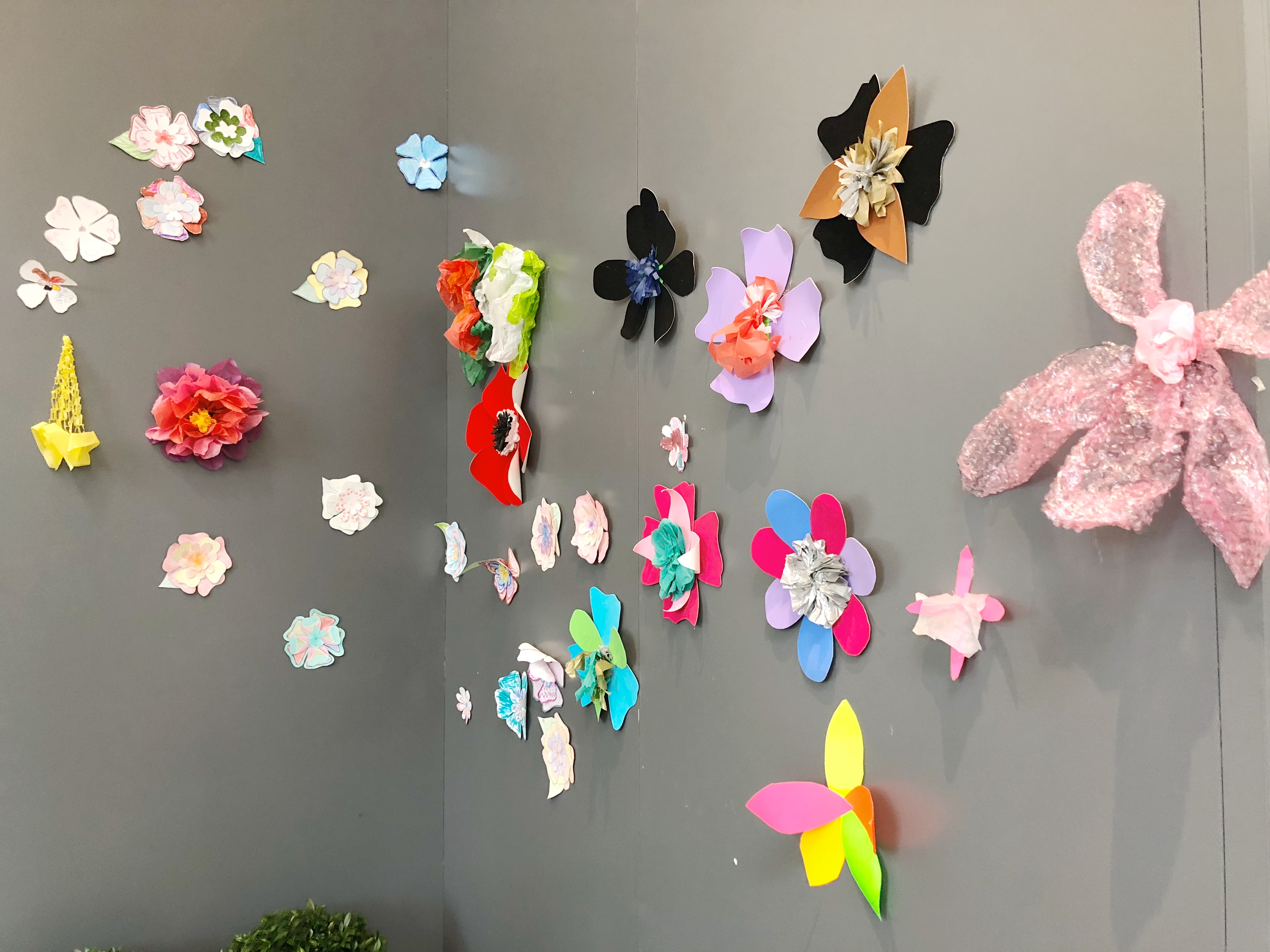 Adventures on the hill summer camp dc botanical gardens 2 Adventures on the hill summer camp dc botanical gardens 2