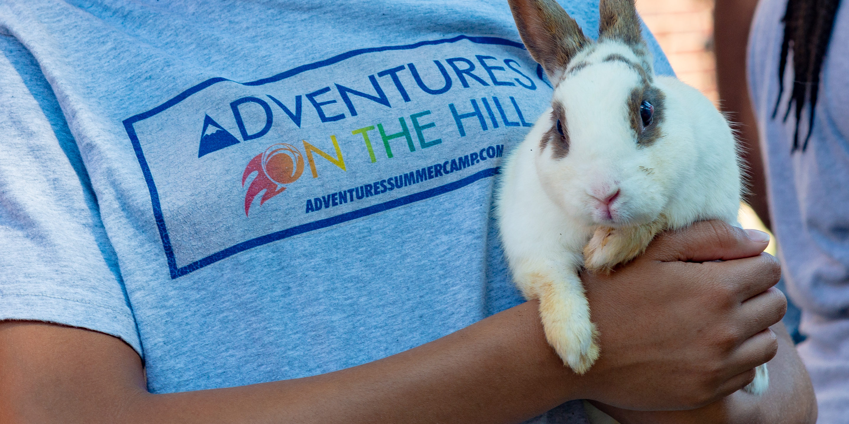 Adventures on The Hill Summer Camp Animal Week Petting Zoo 2