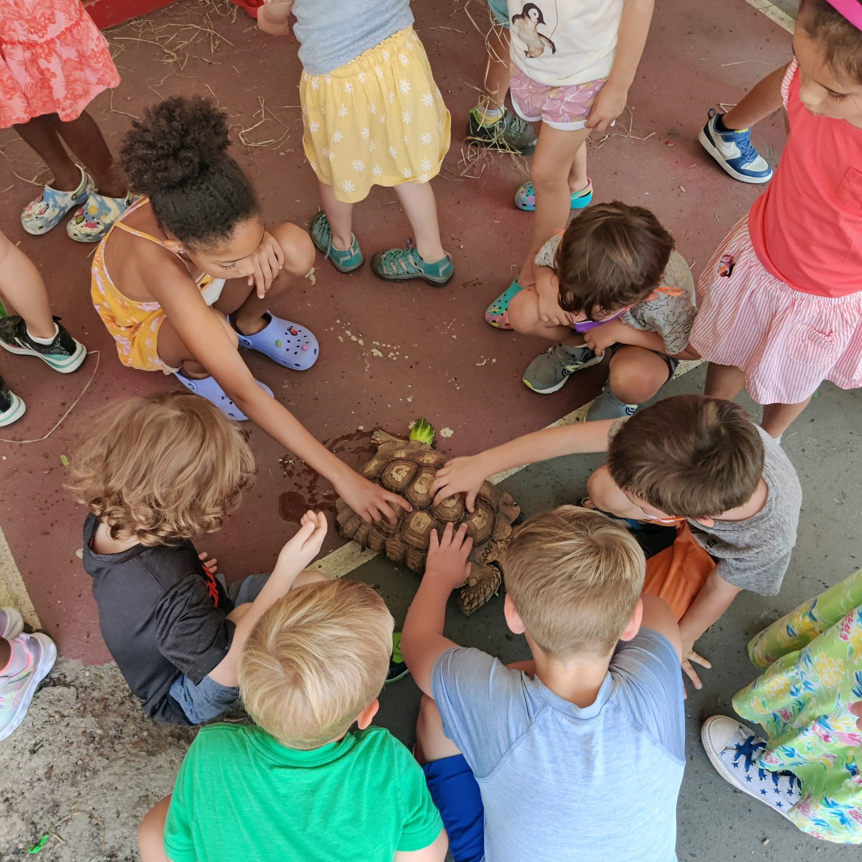 AdventuresOnTheHill20